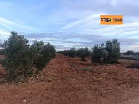 Finca Rústica Venta Carretera Moral, Valdepeñas