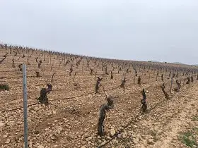 Finca Rústica Venta Carretera Santa Cruz, Valdepeñas