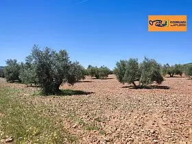 Finca Rústica Venta Carretera Torre Nueva, Valdepeñas