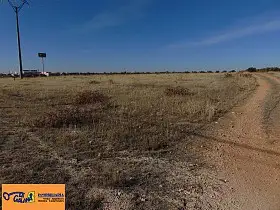 Finca Rústica Venta Nacional - IV, Valdepeñas