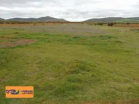 Finca Rústica Venta San Carlos Del Valle, San Carlos Del Valle