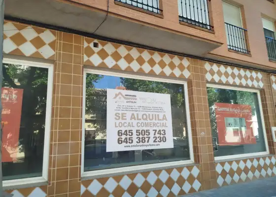 Local comercial en alquiler en Manzanares