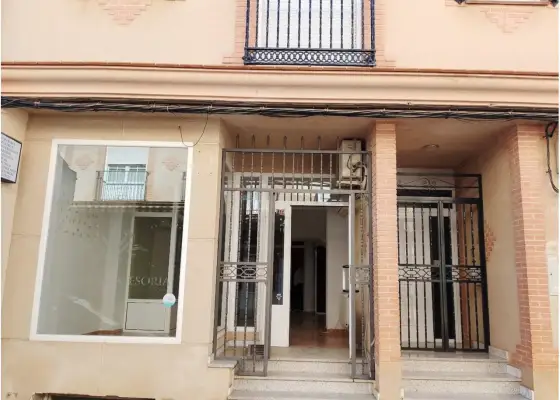 Local comercial en venta en Manzanares