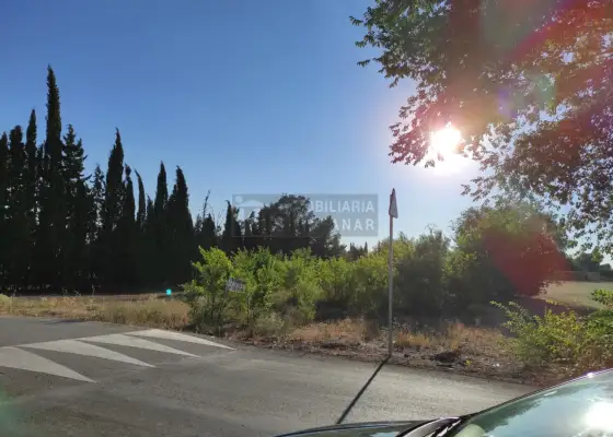 Parcela En buen estado La Villa de Don Fadrique