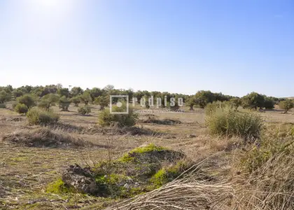 Solar en venta en Distrito Único, Seseña, Toledo en Seseña