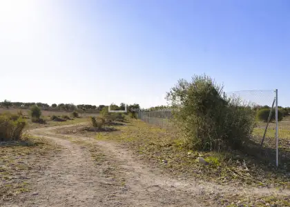 Solar en venta en Distrito Único, Seseña, Toledo en Seseña