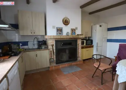 terreno de 2 hectareas con olivos y chalet Y DOS NAVES en Alcázar de San Juan