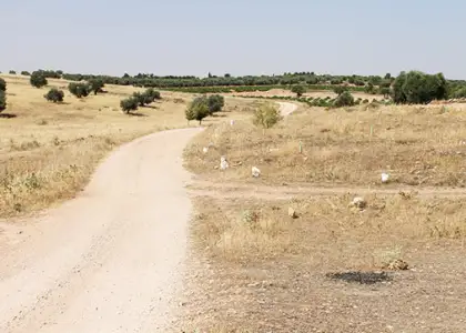 Terreno en venta en calle Mayor San Juan 13400, Ciudad Real, Almadén en Almadén