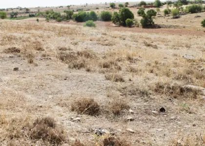 Terreno en venta en cmno Puente S/n 13610, Ciudad Real, Campo de Criptana en Campo de Criptana