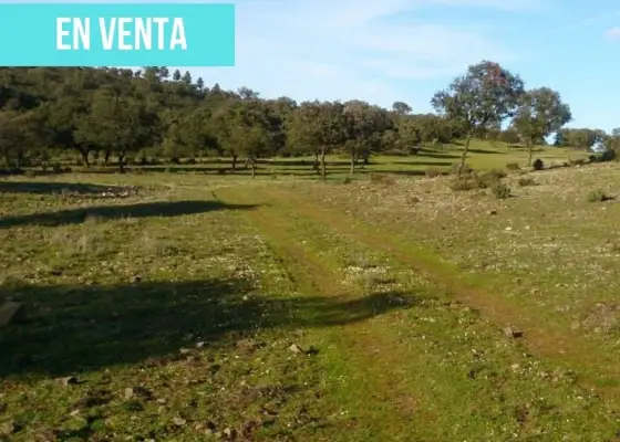 Terreno en venta en finca navapeones s/n en Anchuras