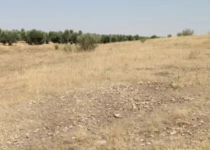 Terreno en venta en lugar De la Laguna 13610, Ciudad Real, Campo de Criptana en Campo de Criptana