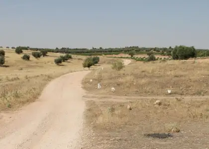 Terreno en venta en lugar De la Laguna 13610, Ciudad Real, Campo de Criptana en Campo de Criptana