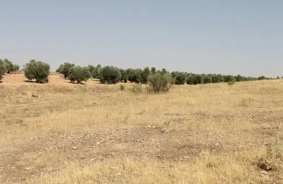 Terreno en venta en lugar De la Laguna 13610, Ciudad Real, Campo de Criptana en Campo de Criptana