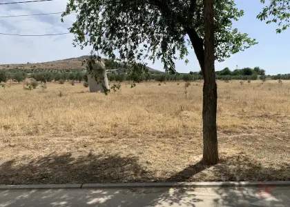 Terreno rural en venta en Herencia, de 6577 m2 por 36.000 €, Ref. 0008 en Herencia
