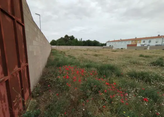 Terreno / Urbanizable En Venta Calle la Paz, Tomelloso