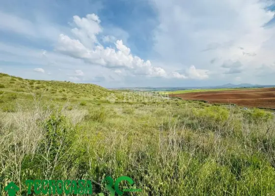 Terrenos en venta en Albarreal De Tajo - Albarreal De Tajo, 24.900 €, 4766 m2, ref. 653449