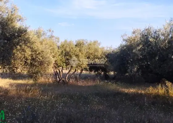 Terrenos en venta en Méntrida - Centro Ciudad, 18.000 €, 3500 m2, ref. 661616