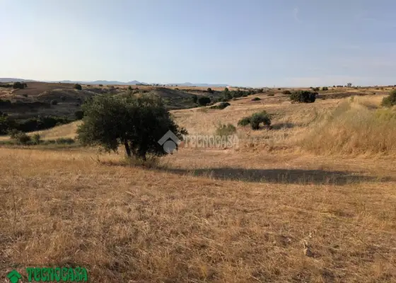 Terrenos en venta en Méntrida - Centro Ciudad, 25.000 €, 3600 m2, ref. 662745