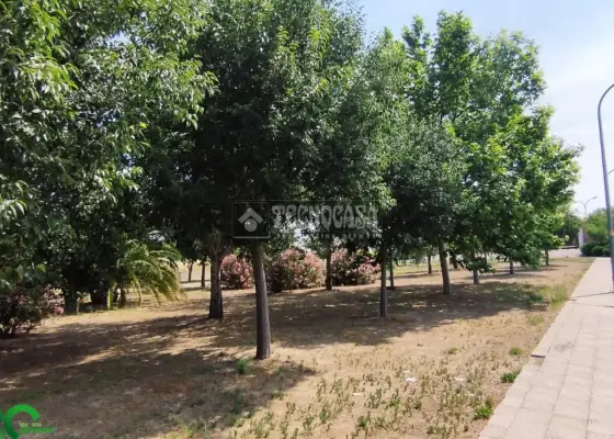Terrenos en venta en Mora - Mora, 16.000 €, 178 m2, ref. 617062