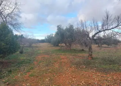 Venta Casa de campo en Argamasilla... en Argamasilla de Calatrava