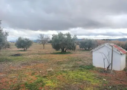 Venta Casa de campo en Argamasilla... en Argamasilla de Calatrava