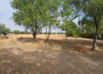 Venta Casa de campo en Villamayor de... en Villamayor de Calatrava