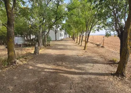 Venta Casa de campo en Villamayor de... en Villamayor de Calatrava