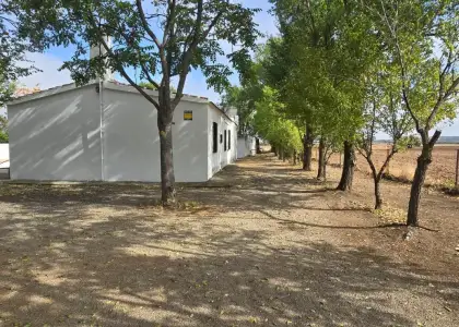 Venta Casa de campo en Villamayor de... en Villamayor de Calatrava
