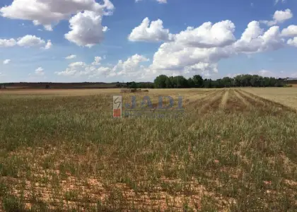 venta de finca rústica en Alcubillas, ALCUBILLAS en Alcubillas