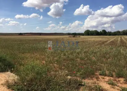 venta de finca rústica en Alcubillas, ALCUBILLAS en Alcubillas