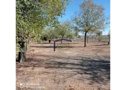 venta de finca rústica en Manzanares, Carretera de arenas en Manzanares