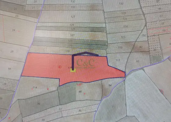 venta de finca rústica en Manzanares, Carretera de argamasilla