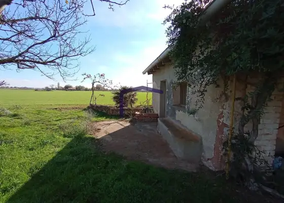 venta de finca rústica en Manzanares, Carretera de villarrubia