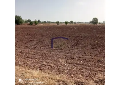 venta de finca rústica en Manzanares, Manzanares en Manzanares