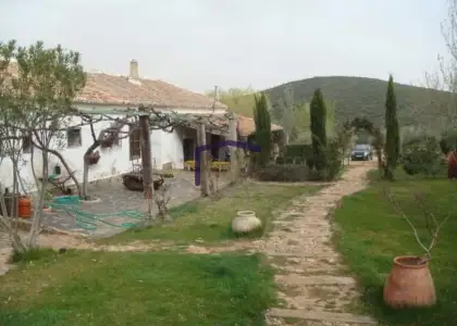 venta de finca rústica en Torrenueva, Torrenueva en Torrenueva