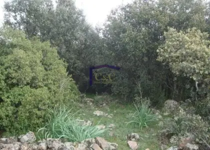 venta de finca rústica en Torrenueva, Torrenueva en Torrenueva