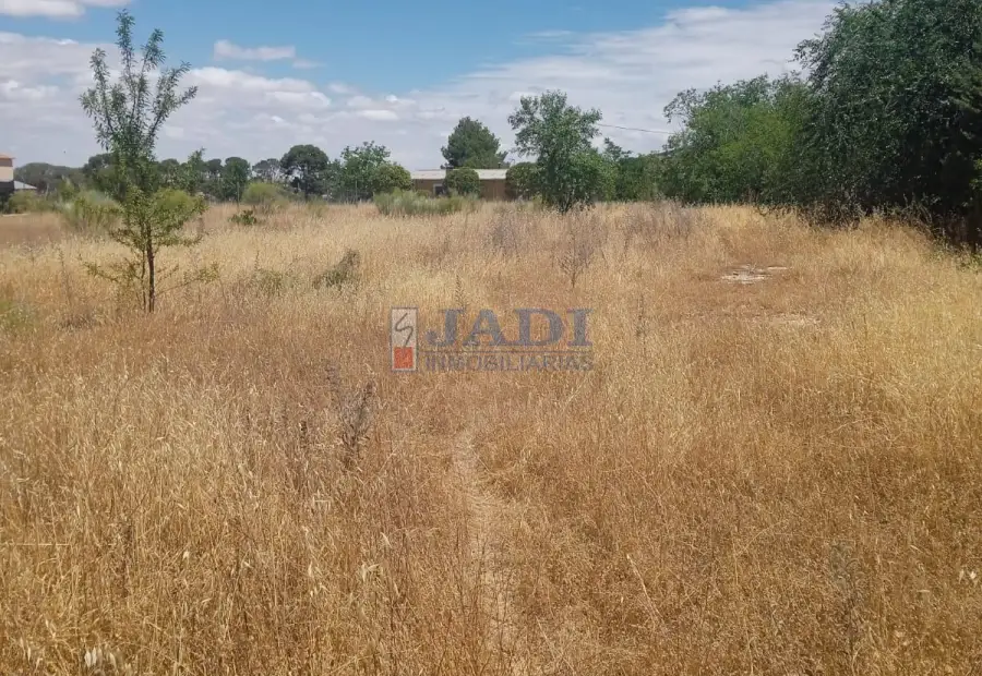 venta de finca rústica en Valdepeñas, BAÑOS DEL PERAL en Valdepeñas