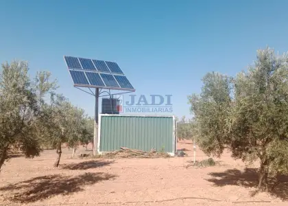 venta de finca rústica en Valdepeñas, CAMPO en Valdepeñas