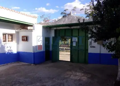 venta de finca rústica en Valdepeñas, CAMPO en Valdepeñas