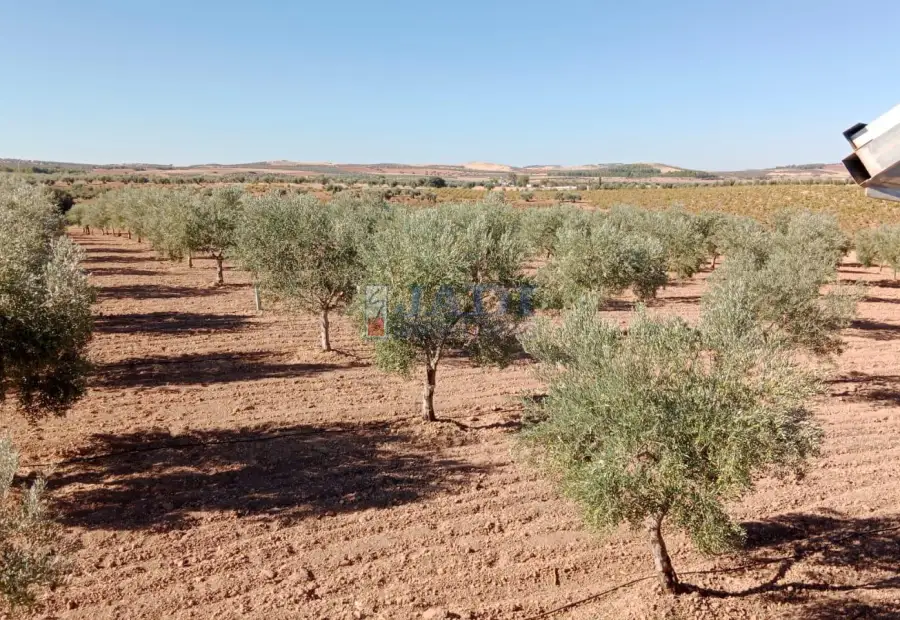 venta de finca rústica en Valdepeñas, CAMPO en Valdepeñas