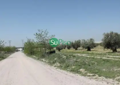 venta de finca rústica en Yeles, yeles en Yeles