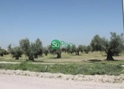 venta de finca rústica en Yeles, yeles en Yeles