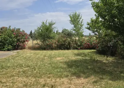 Venta Finca rústica en Argamasilla... en Argamasilla de Calatrava