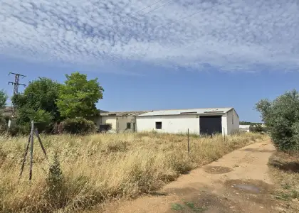 Venta Finca rústica en Argamasilla... en Argamasilla de Calatrava