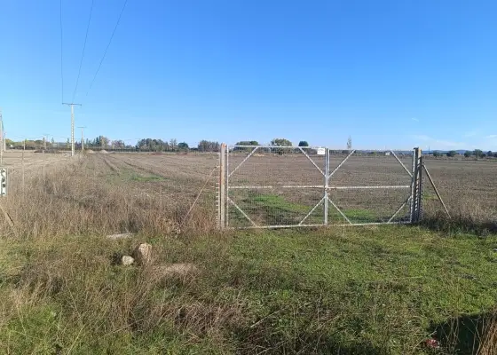 Venta Parcela en Argamasilla de... en Argamasilla de Calatrava