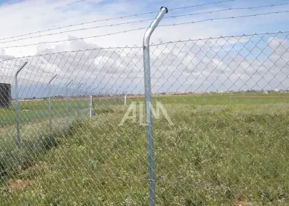 Venta Parcela RÃºstica Membrilla, Membrilla en Membrilla