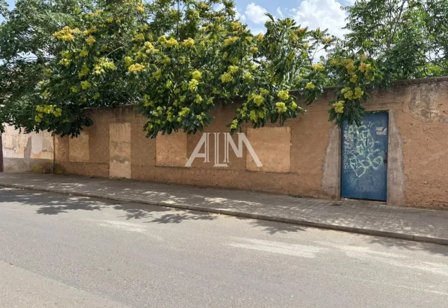 Venta Solar Manzanares, Manzanares en Manzanares